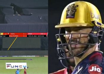 Black cat causes an interruption in play; fans make 'bad luck' jokes. RCB match
