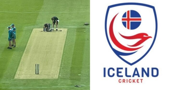 Iceland Cricket trolled Lord's pitch curators