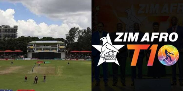 Harare Sports Club Pitch report for ZIM AFRO T10